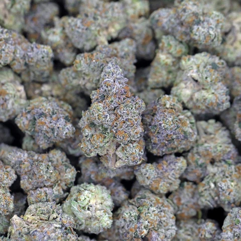 kush queen hemp flower e85 thca flower private reserve 39983625535733 large