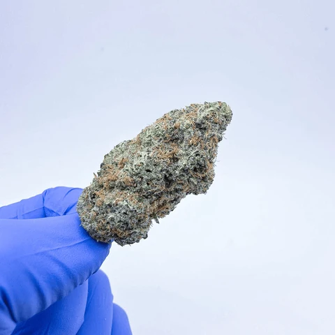 kush queen hemp flower exotic aaa jet fuel og thca flower 1255051421 large