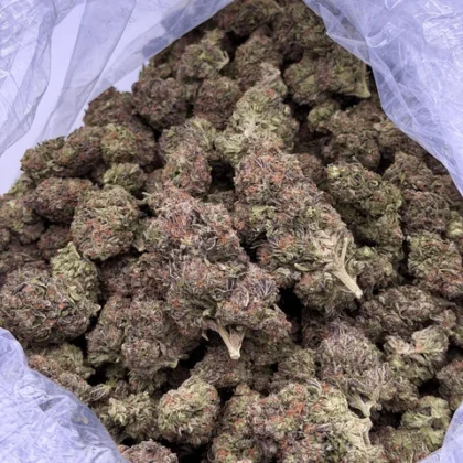 kush queen hemp flower private reserve aa grade lemon cherry gelato thca flower 1244101610 large 420x420