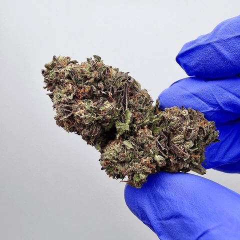kush queen hemp flower private reserve aa grade lemon cherry gelato thca flower 1244101611 large