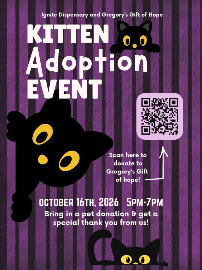ignite kitten adopt 1